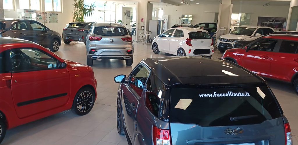 Fuccelli auto_Chi-Siamo-Team_1300x866-copia-1024x682 copy